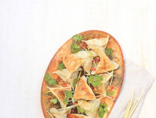 geometric-chicken-and-ginger-pot-sticker-dumplings-recipe-11A